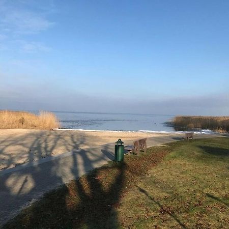 Ferien-Bungalow Im Seebad Ueckermuendeot Bellin Kültér fotó